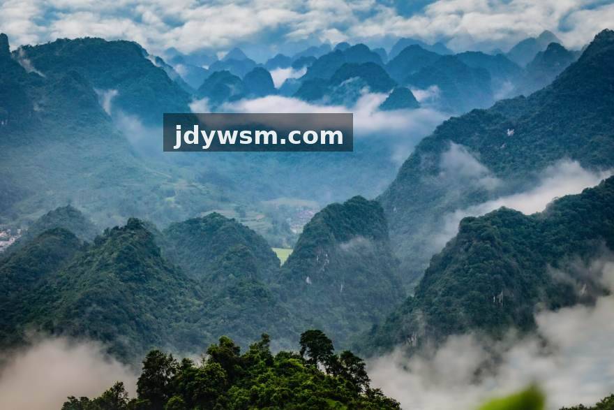 人人体育团队与社区运营场景